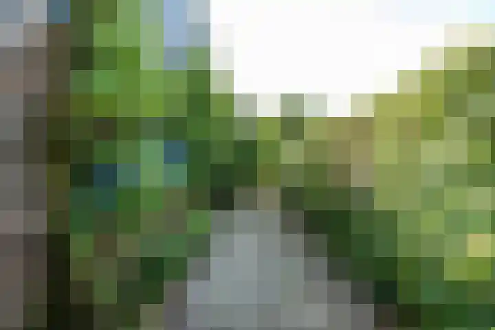 Langestraat 50 Noordhorn thumbnail 53