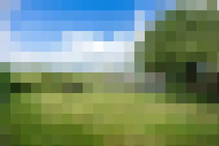 Langestraat 50 Noordhorn thumbnail 54