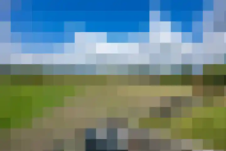 Langestraat 50 Noordhorn thumbnail 57