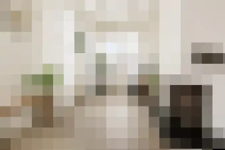 Langestraat 55 Noordhorn thumbnail 11