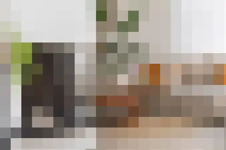 Langestraat 55 Noordhorn thumbnail 12