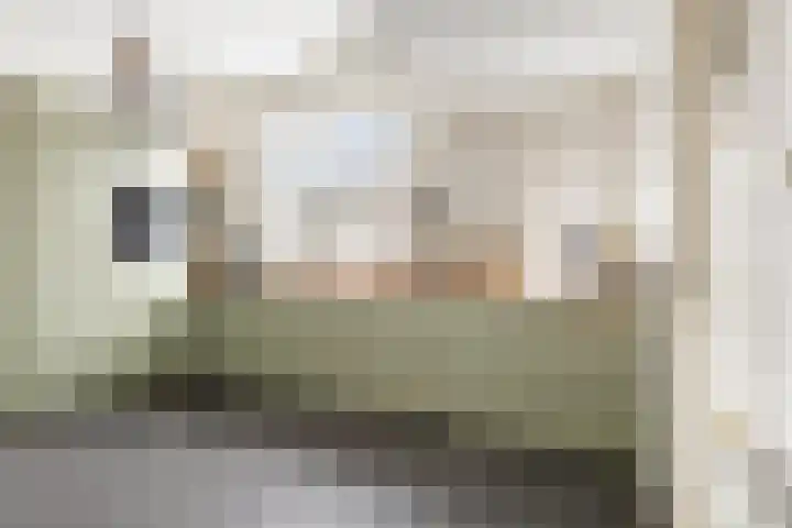 Langestraat 55 Noordhorn thumbnail 17