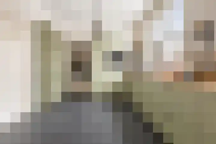 Langestraat 55 Noordhorn thumbnail 18