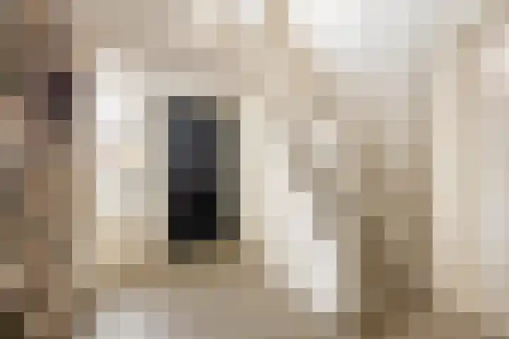 Langestraat 55 Noordhorn thumbnail 26