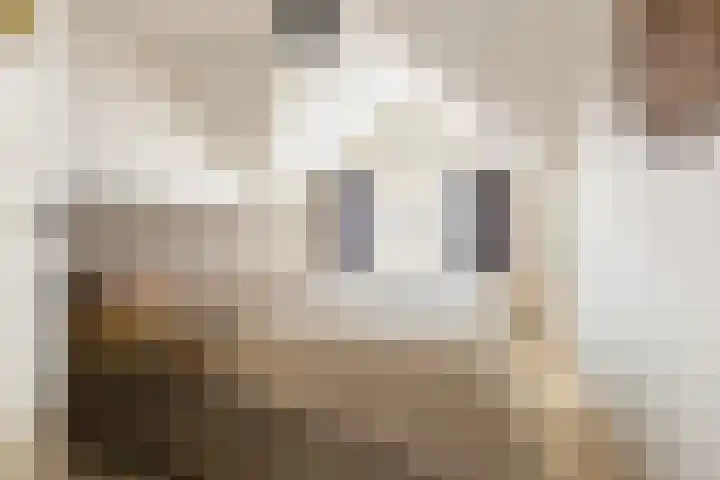 Langestraat 55 Noordhorn thumbnail 30