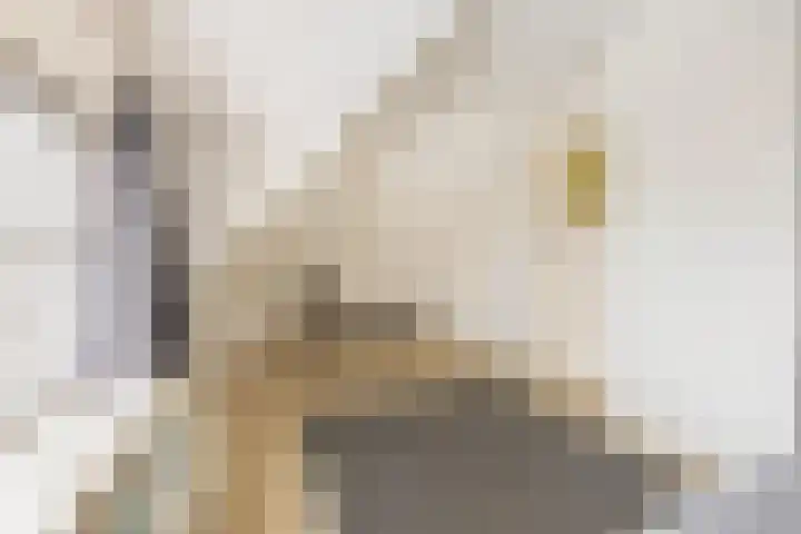 Langestraat 55 Noordhorn thumbnail 32