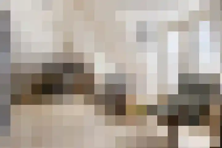 Langestraat 55 Noordhorn thumbnail 34