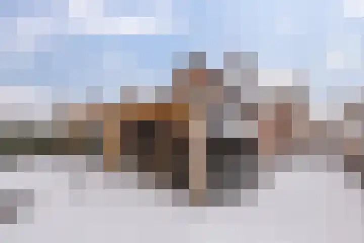 Langestraat 55 Noordhorn thumbnail 37