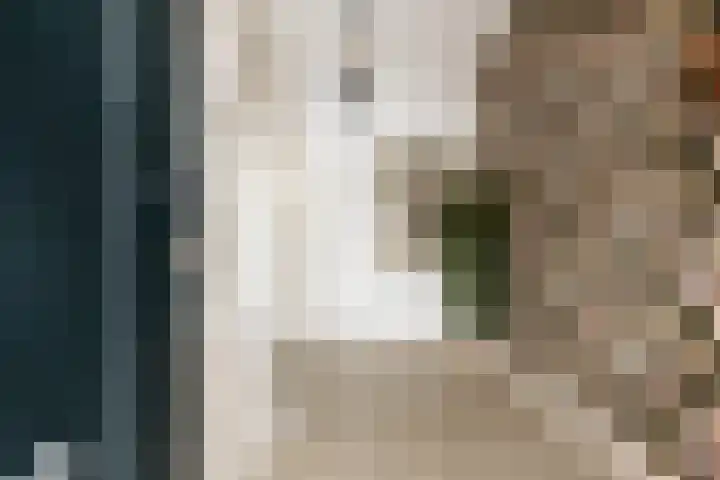 Langestraat 55 Noordhorn thumbnail 6