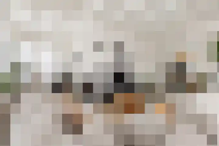 Langestraat 55 Noordhorn thumbnail 9