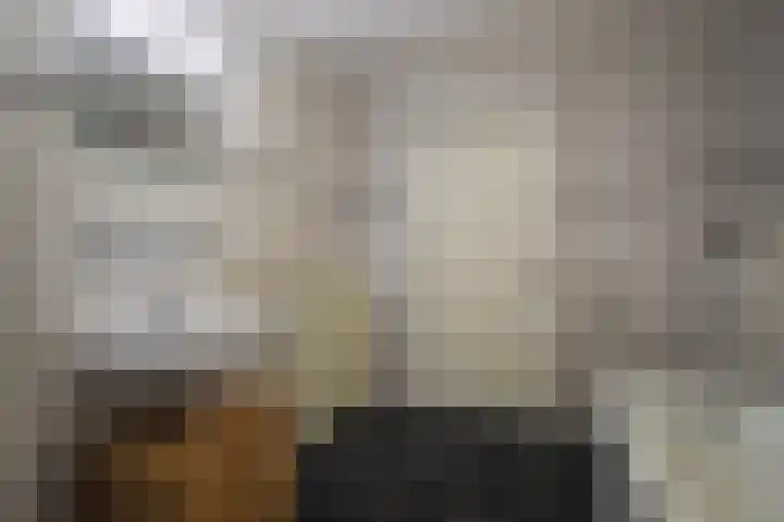 Langestraat 58 b Huissen thumbnail 32