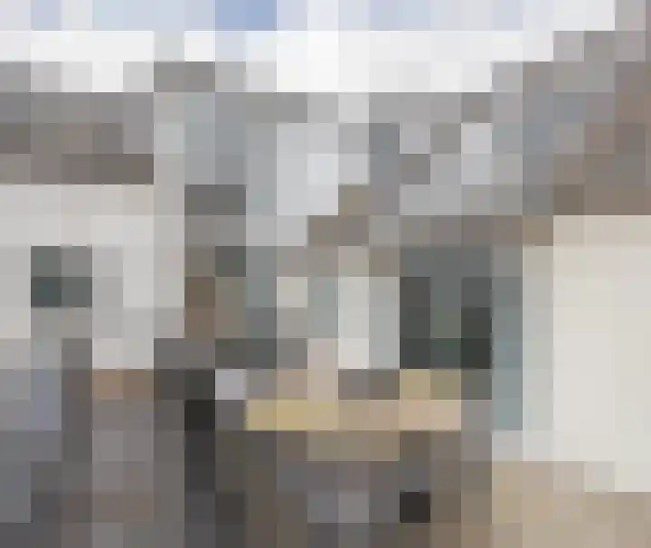 Langestraat 58 b Huissen thumbnail 7