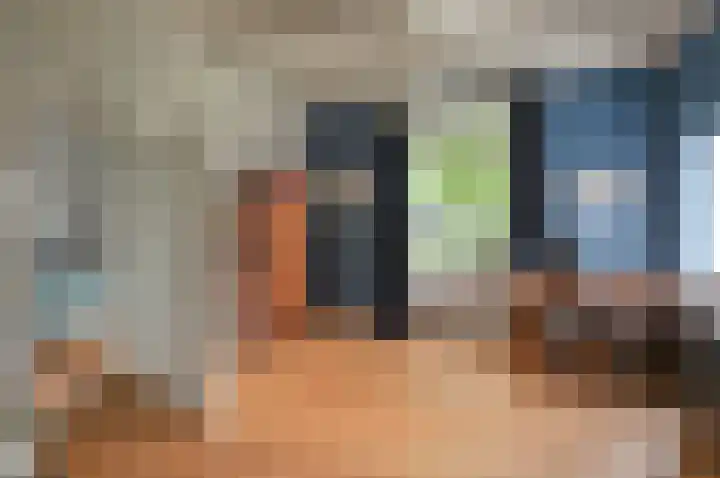 Langestraat 58 Huizen thumbnail 32