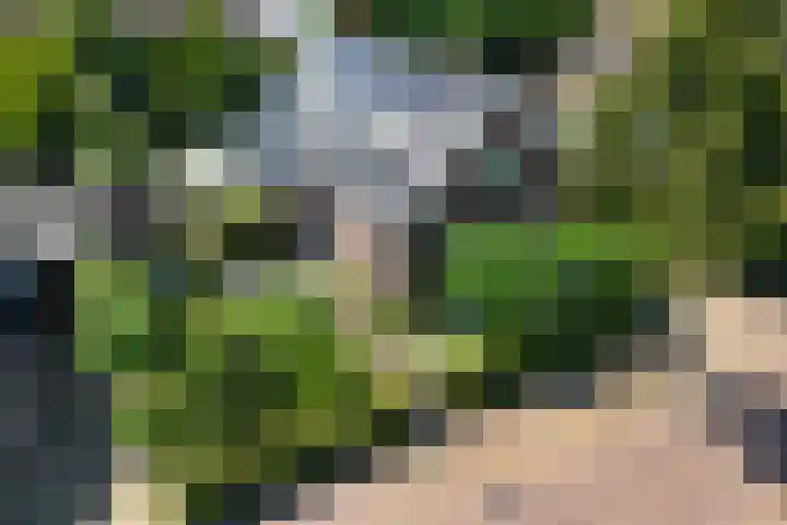 Langestraat 58 Huizen thumbnail 5