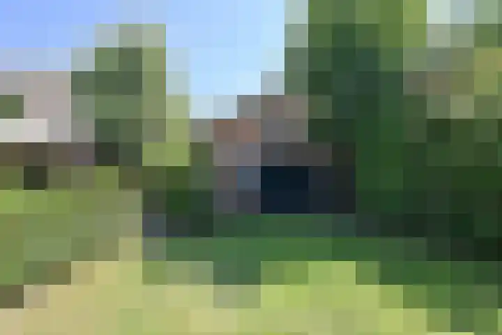 Langestraat 58 Huizen thumbnail 8