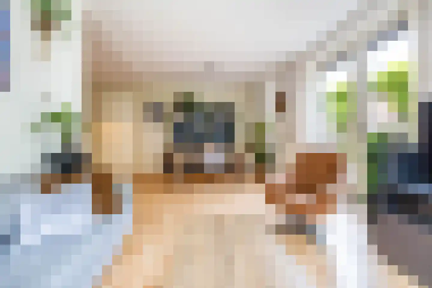 Langestraat 6 Groningen thumbnail 13
