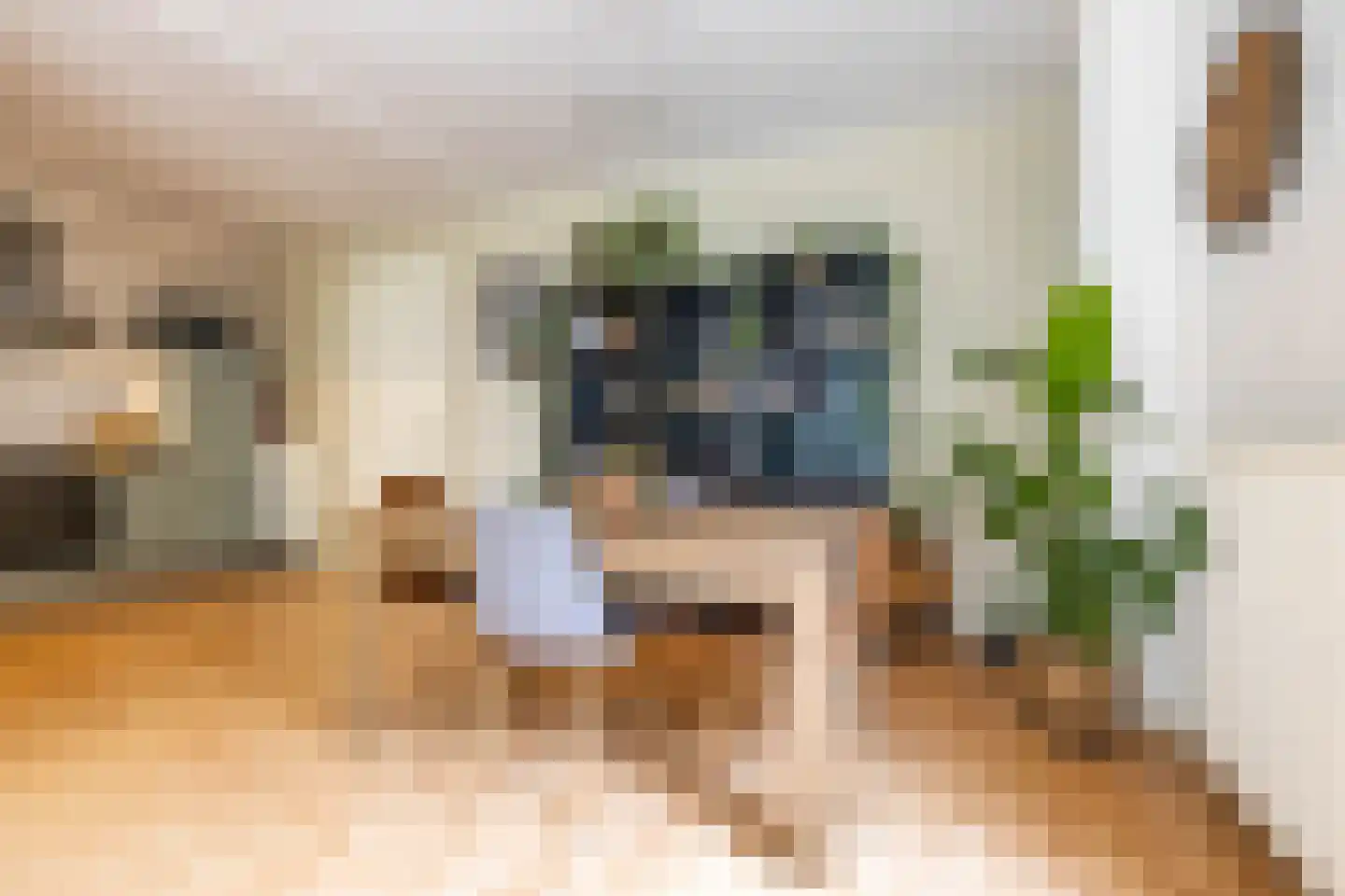Langestraat 6 Groningen thumbnail 15