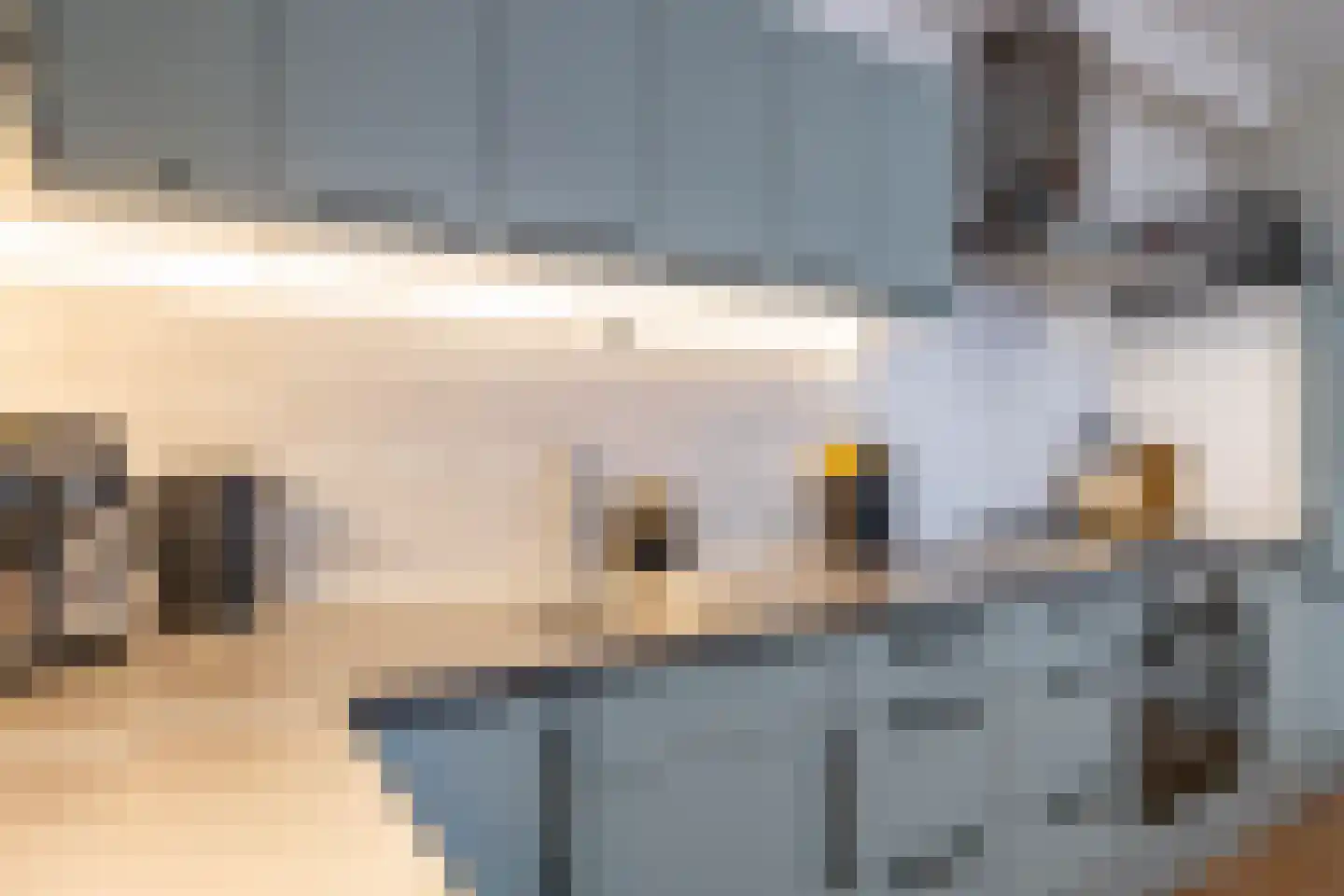 Langestraat 6 Groningen thumbnail 18