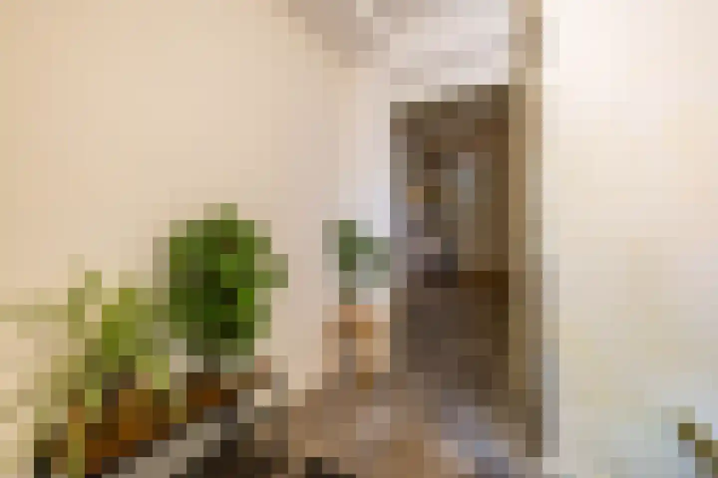 Langestraat 6 Groningen thumbnail 32