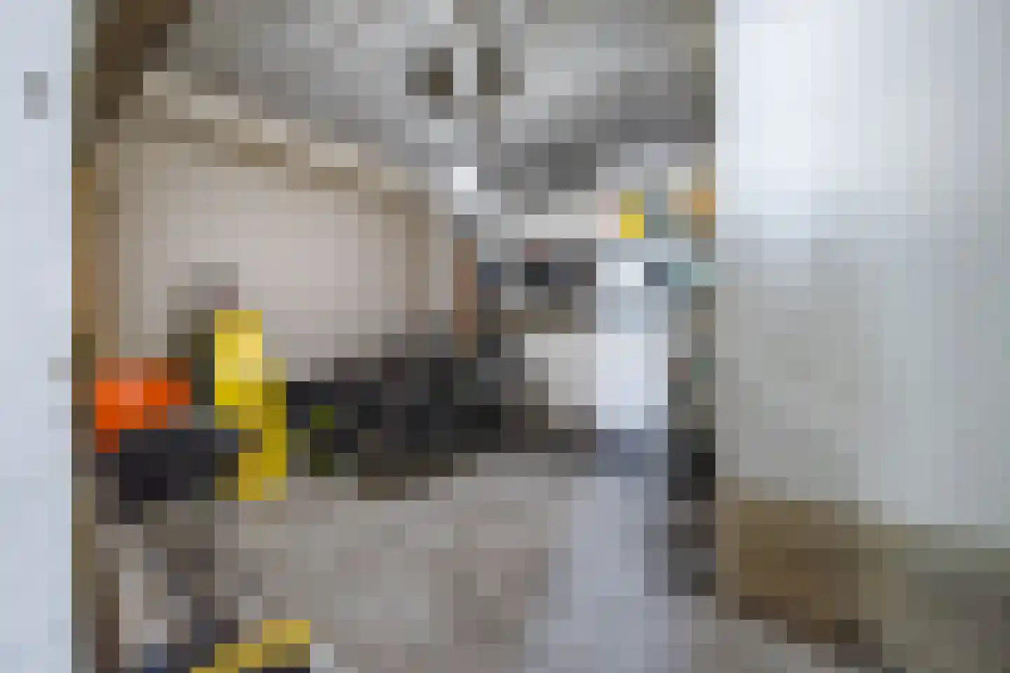 Langestraat 6 Groningen thumbnail 33
