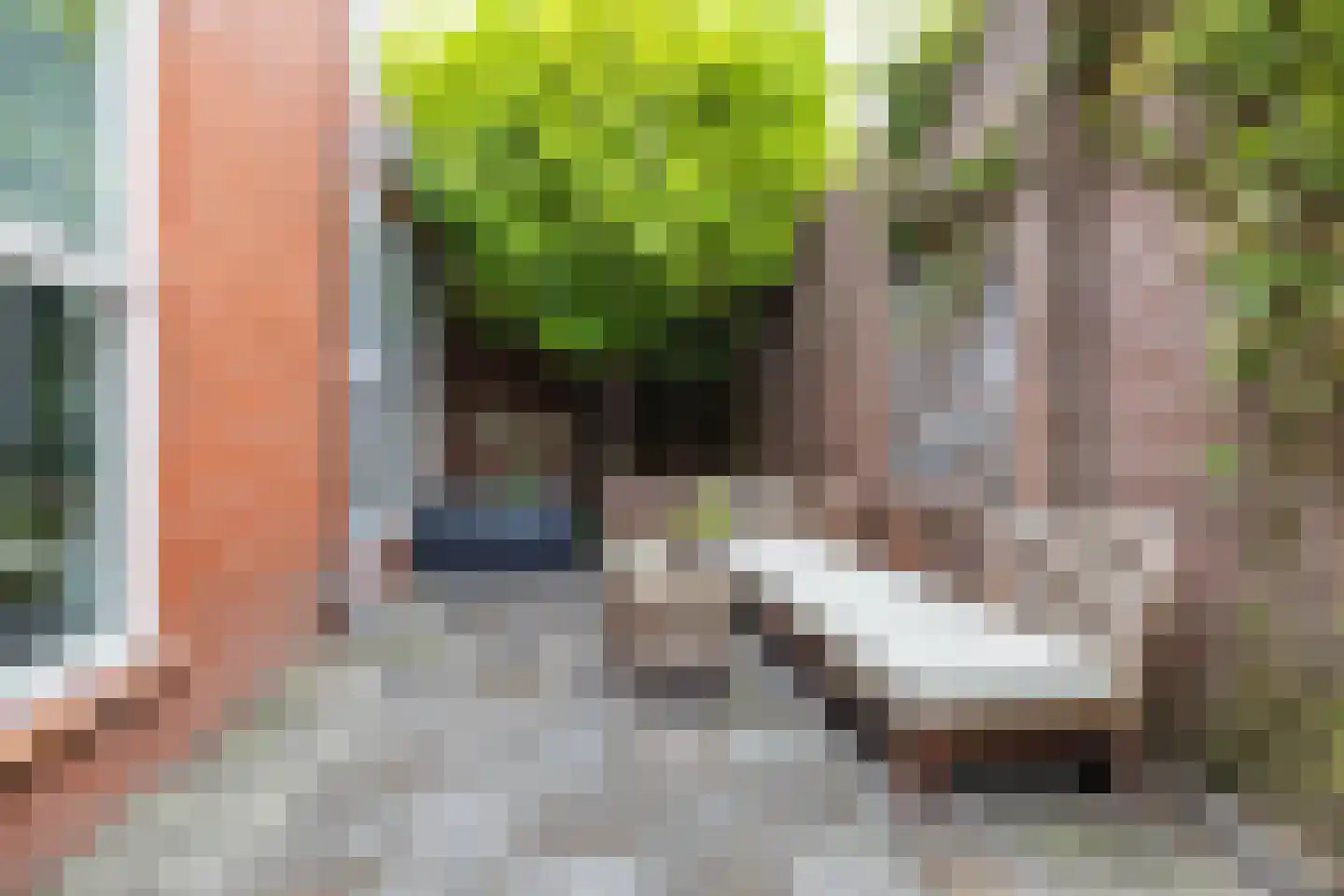 Langestraat 6 Groningen thumbnail 4