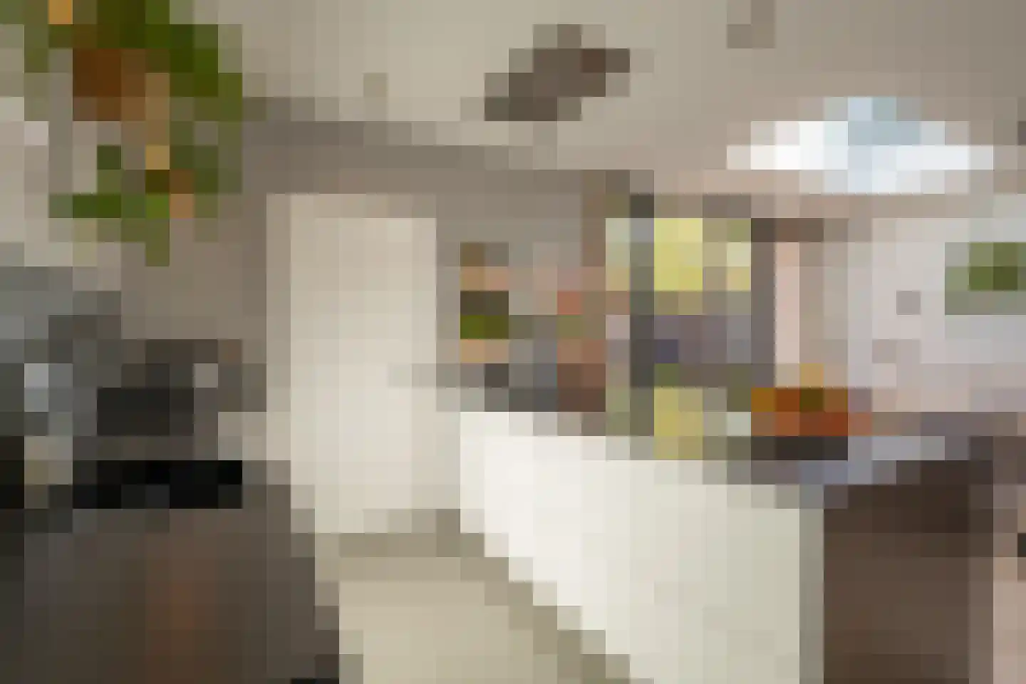 Langestraat 61 a Huizen thumbnail 18