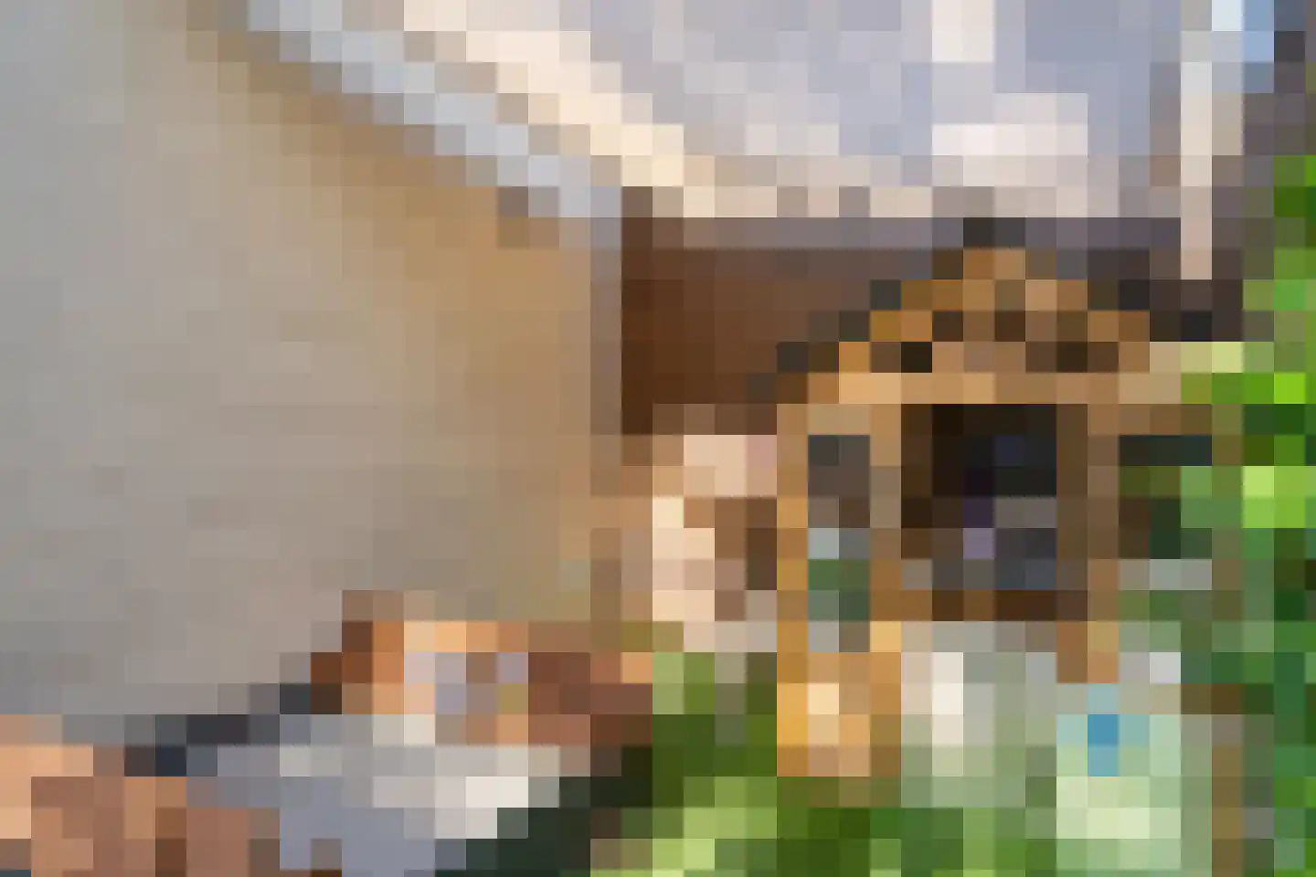 Langestraat 61 a Huizen thumbnail 28