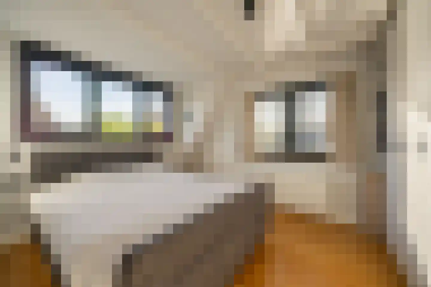 Langestraat 61 a Huizen thumbnail 32