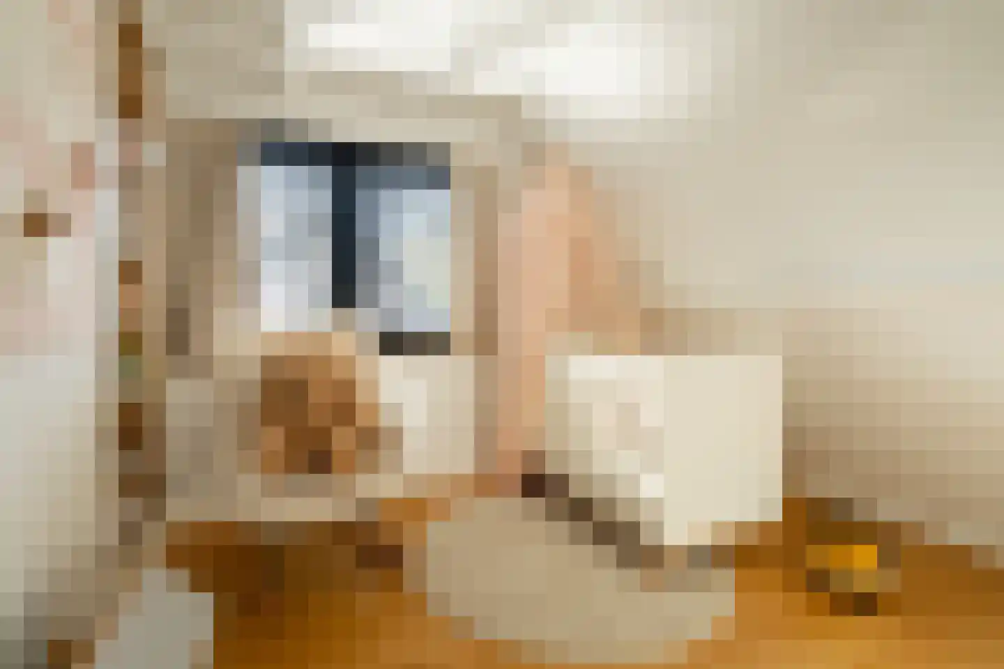Langestraat 61 a Huizen thumbnail 34