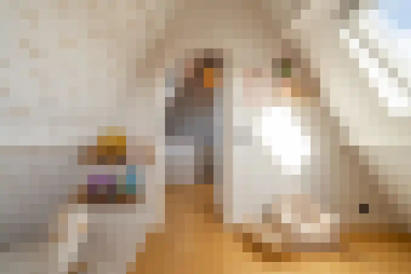 Langestraat 61 a Huizen thumbnail 43