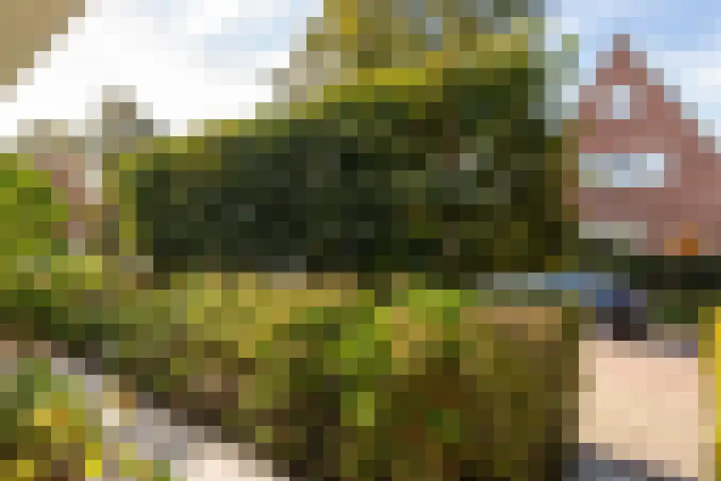 Langestraat 61 a Huizen thumbnail 49