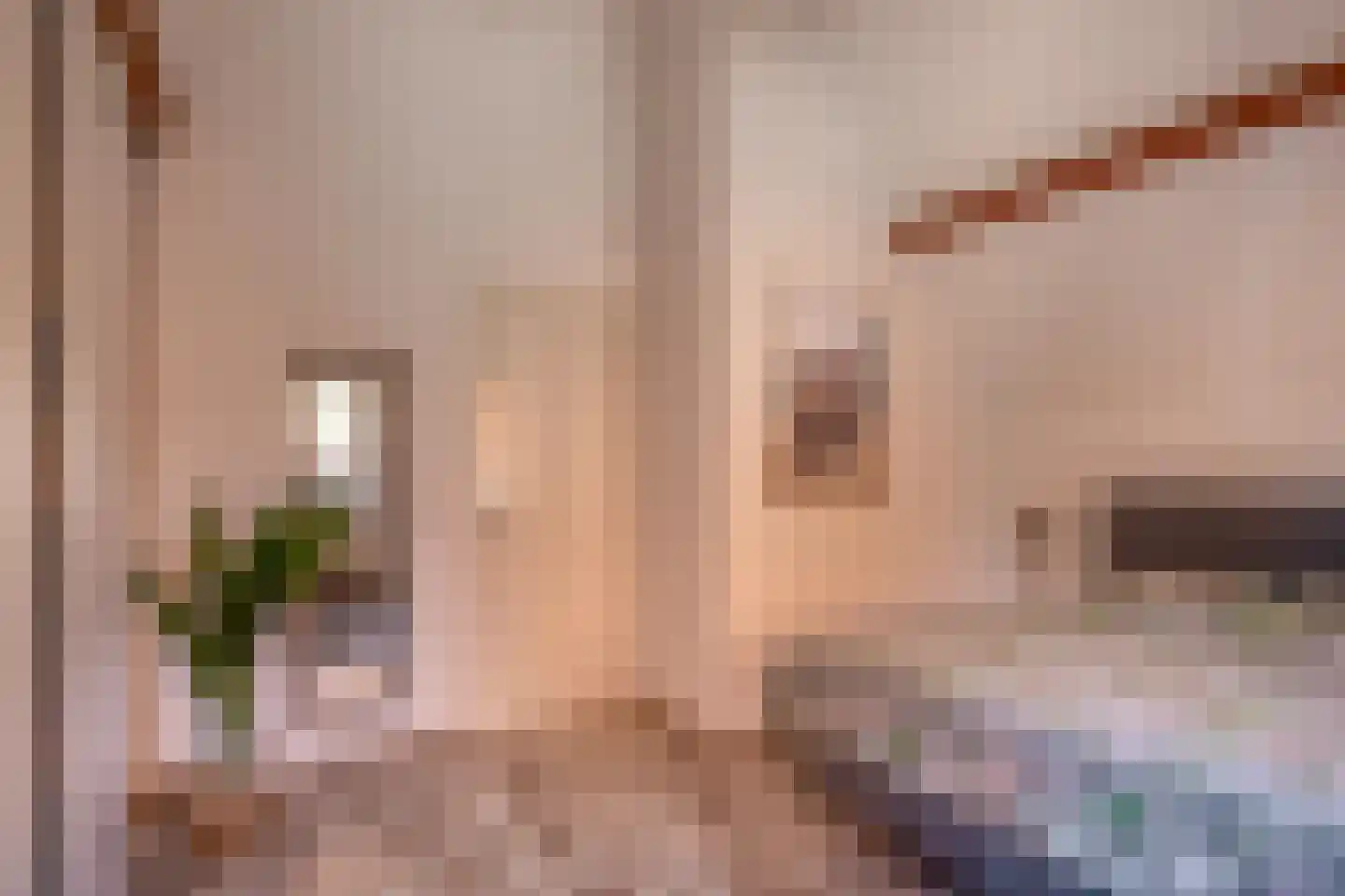 Langestraat 62 Brielle thumbnail 21