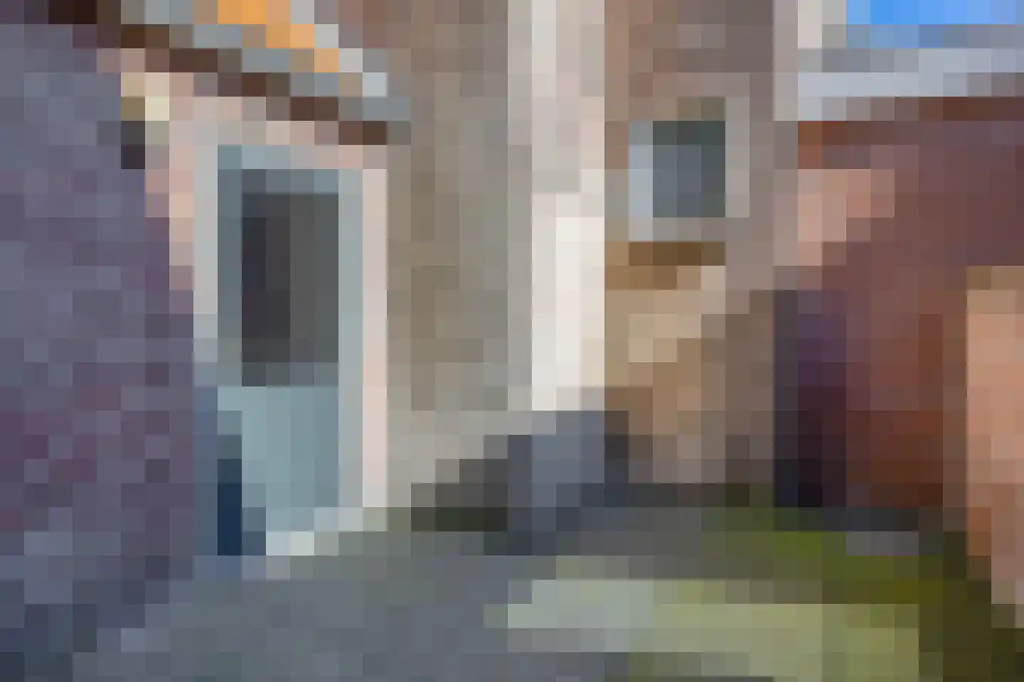 Langestraat 62 Brielle thumbnail 27