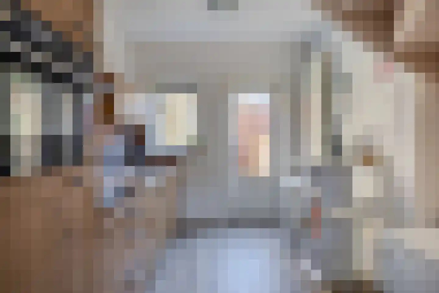 Langestraat 62 Brielle thumbnail 4