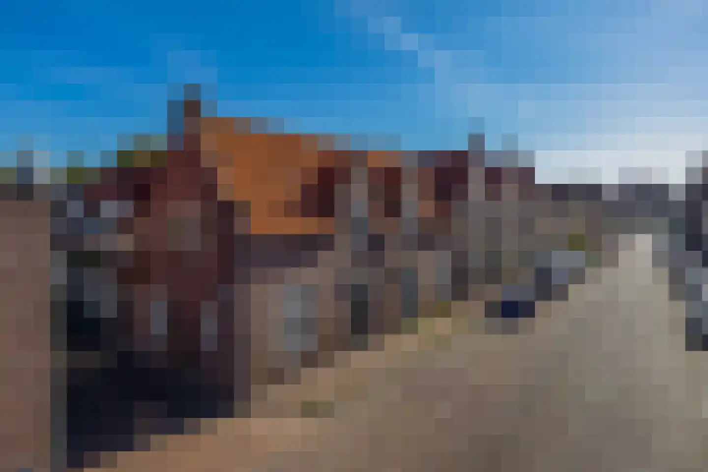 Langestraat 62 Brielle thumbnail 9