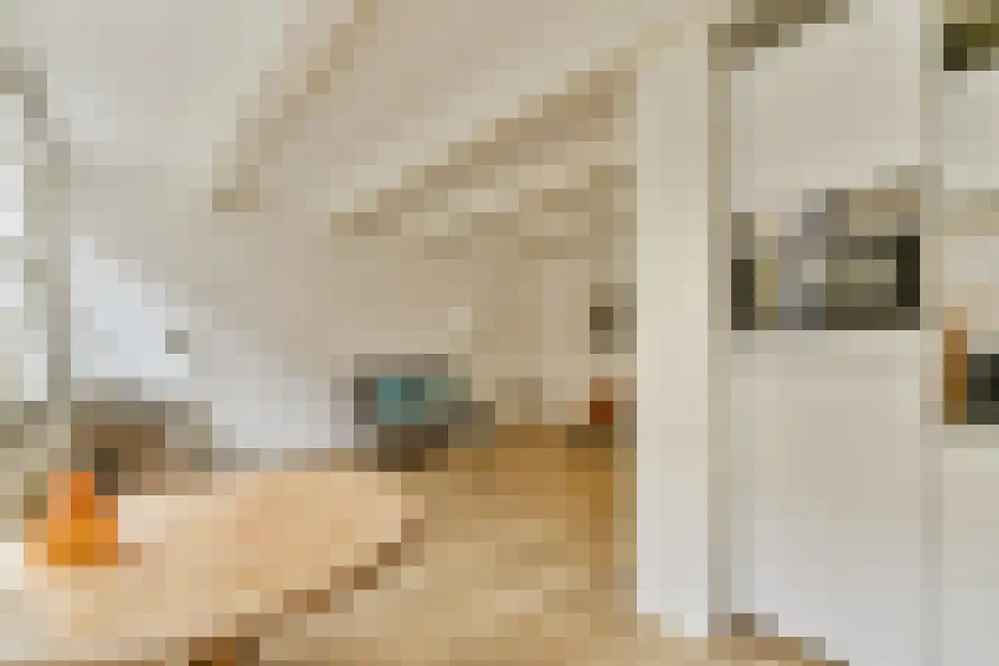 Langestraat 64 1 Amsterdam thumbnail 11