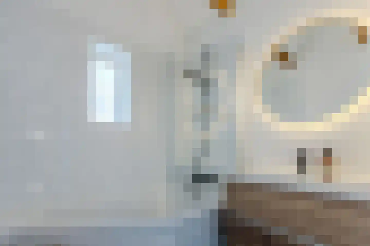 Langestraat 64 Zaandam thumbnail 14