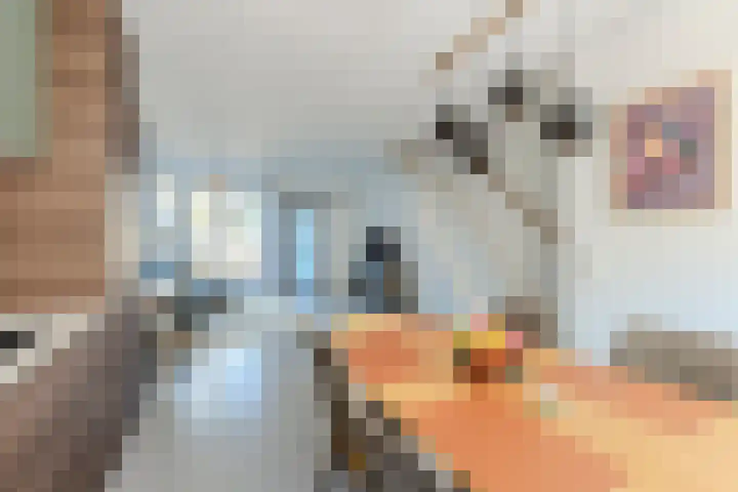 Langestraat 64 Zaandam thumbnail 9