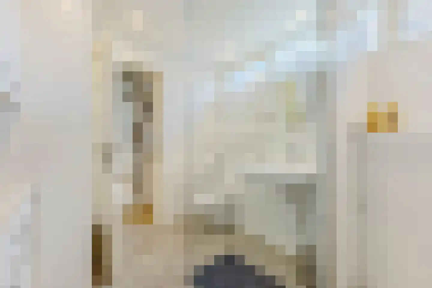 Langestraat 68 Zaandam thumbnail 12