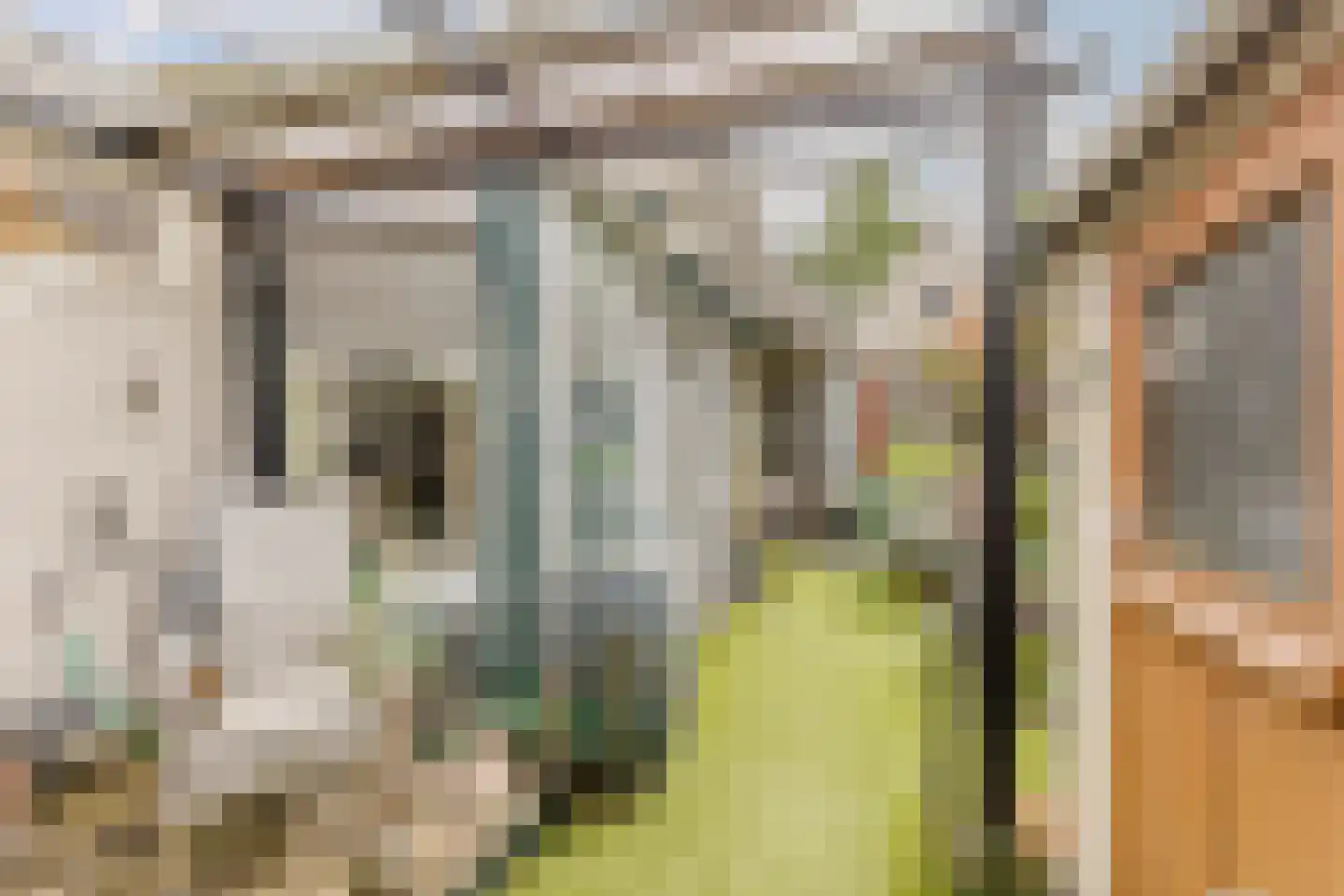 Langestraat 68 Zaandam thumbnail 21