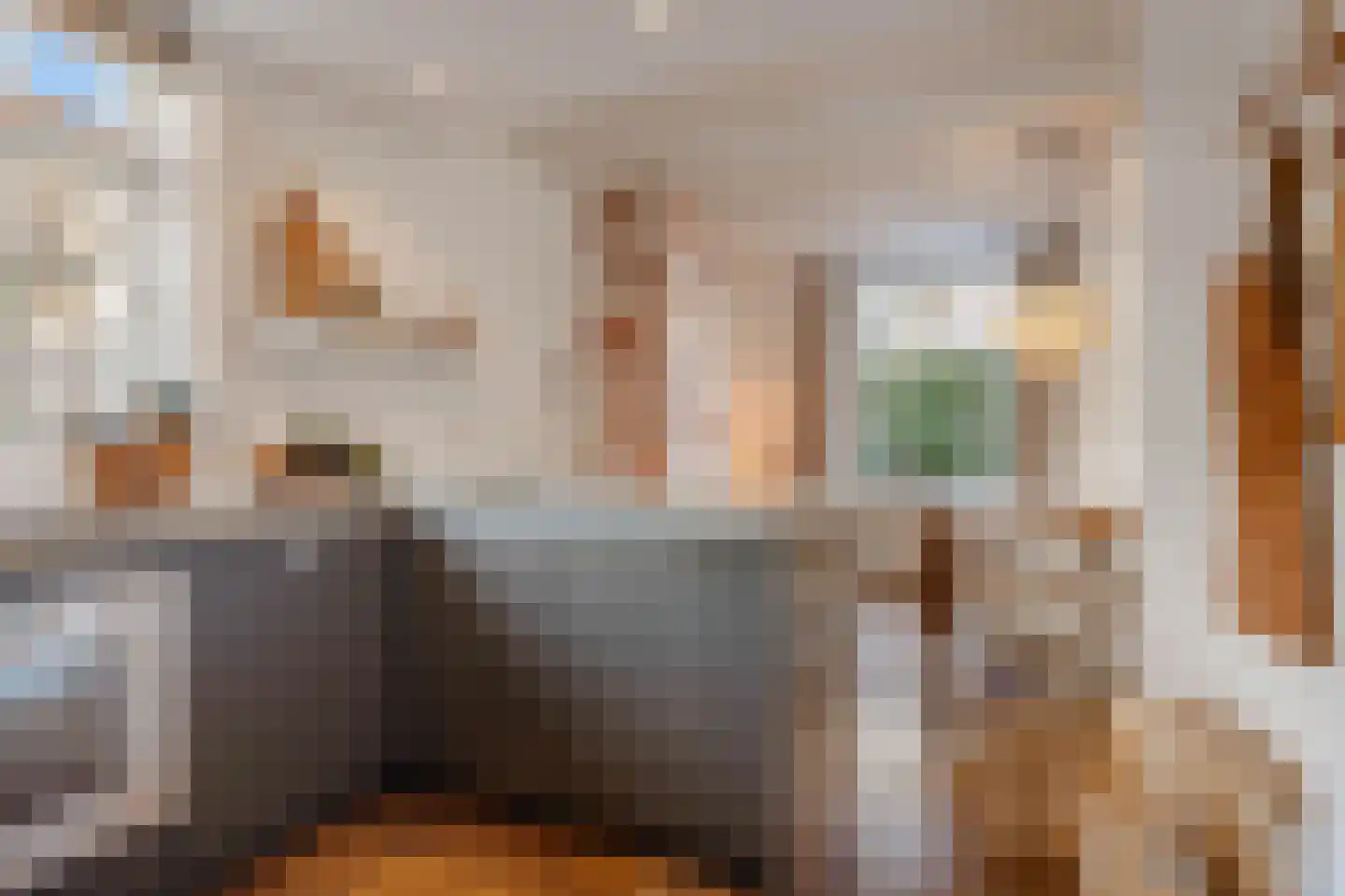 Langestraat 7 Huizen thumbnail 12