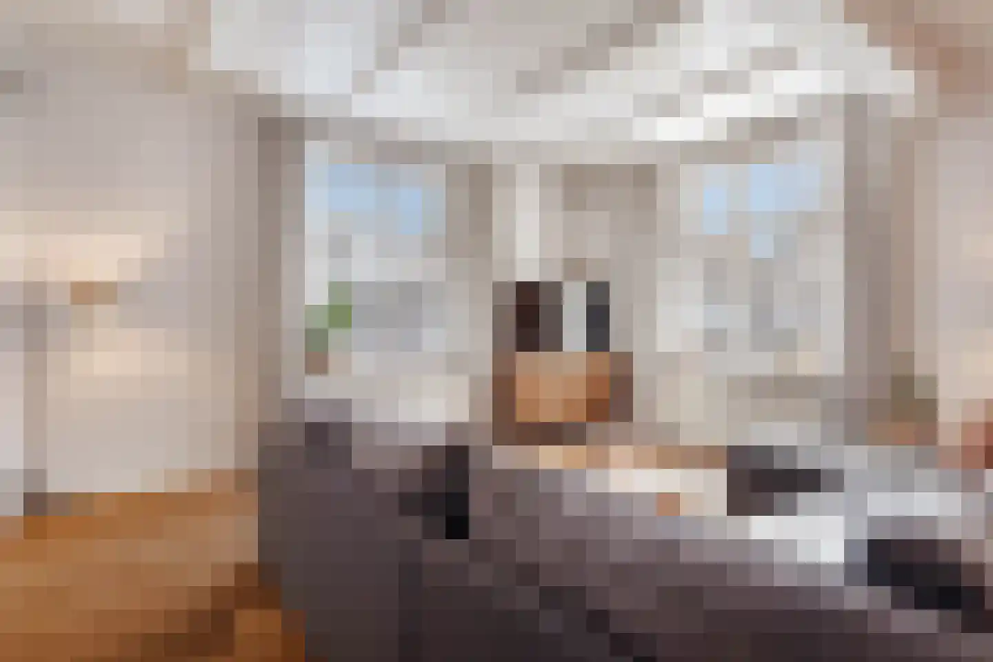Langestraat 7 Huizen thumbnail 15