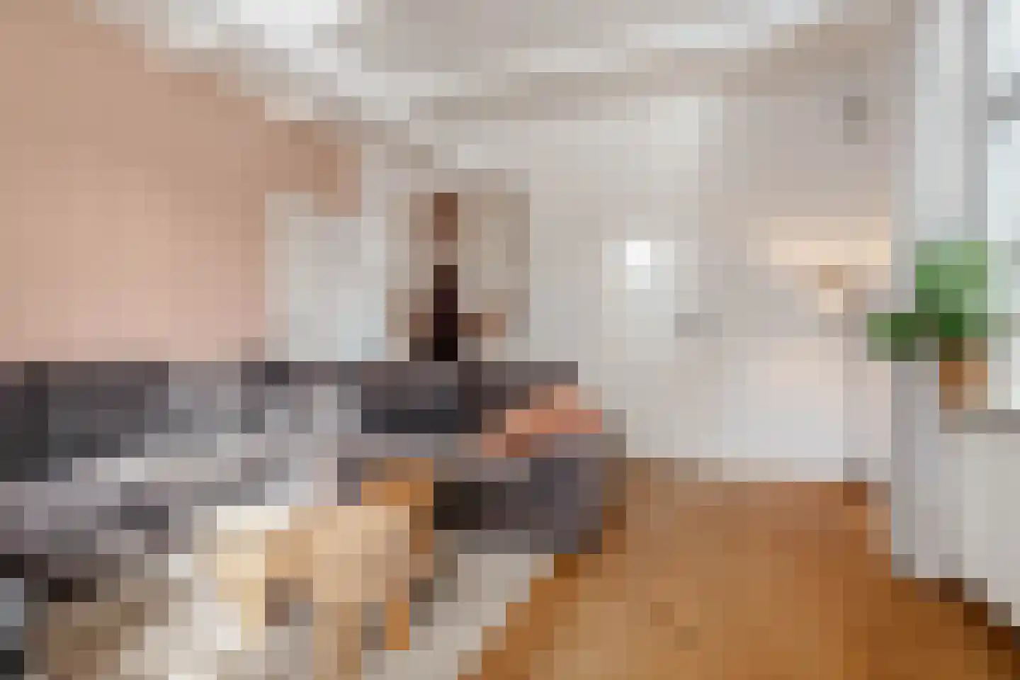 Langestraat 7 Huizen thumbnail 18