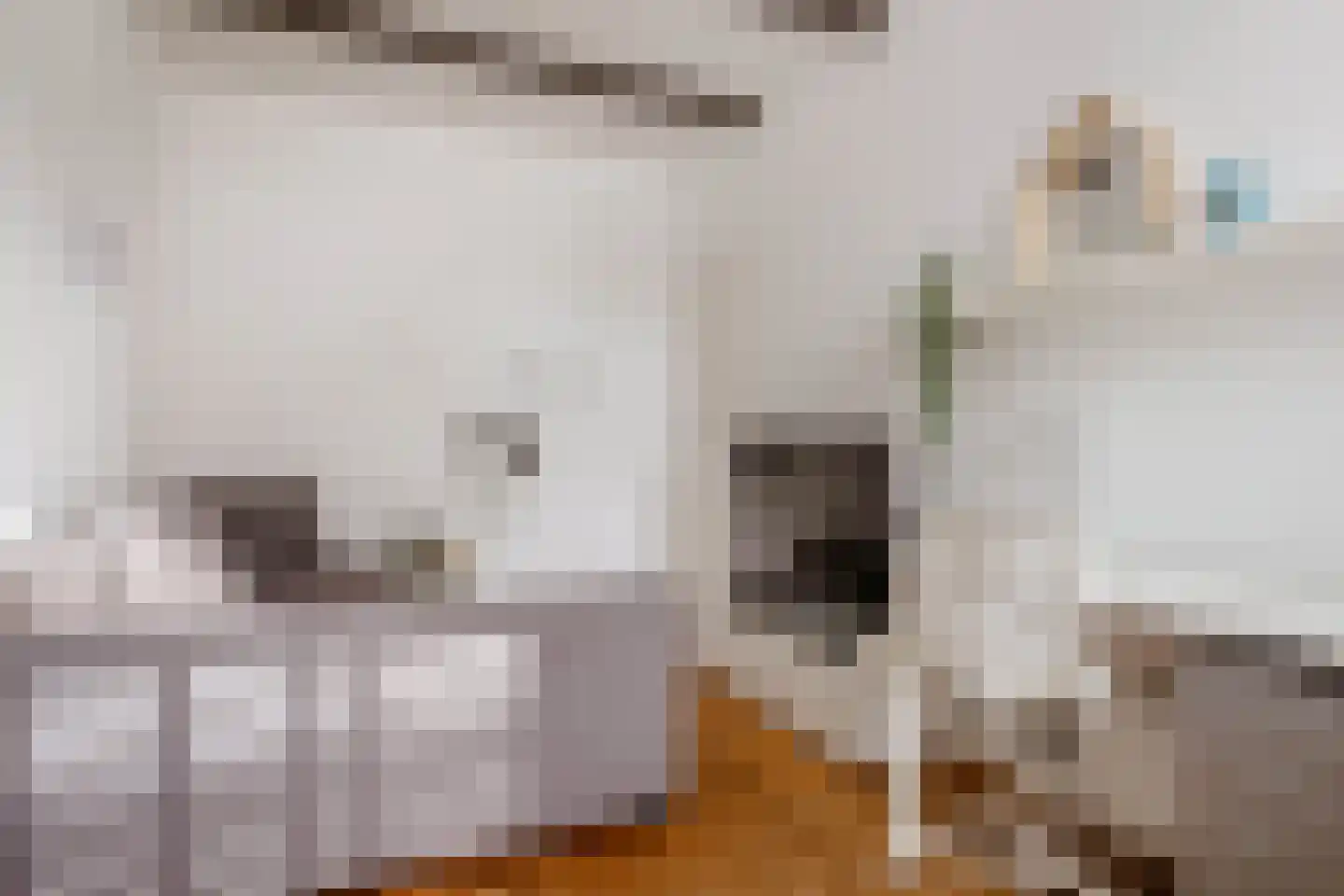 Langestraat 7 Huizen thumbnail 20