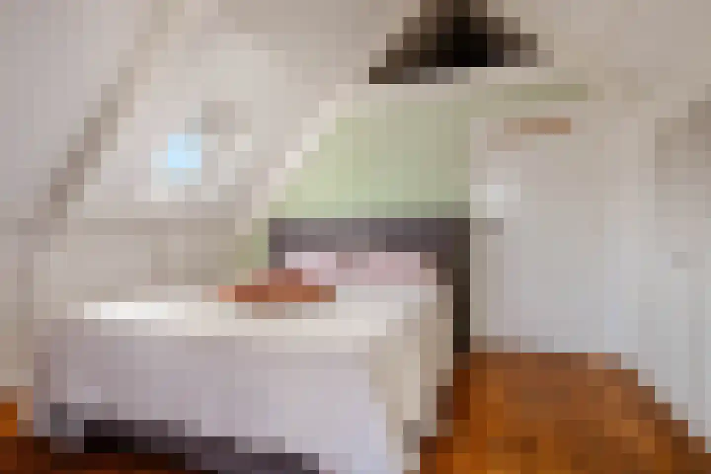 Langestraat 7 Huizen thumbnail 23