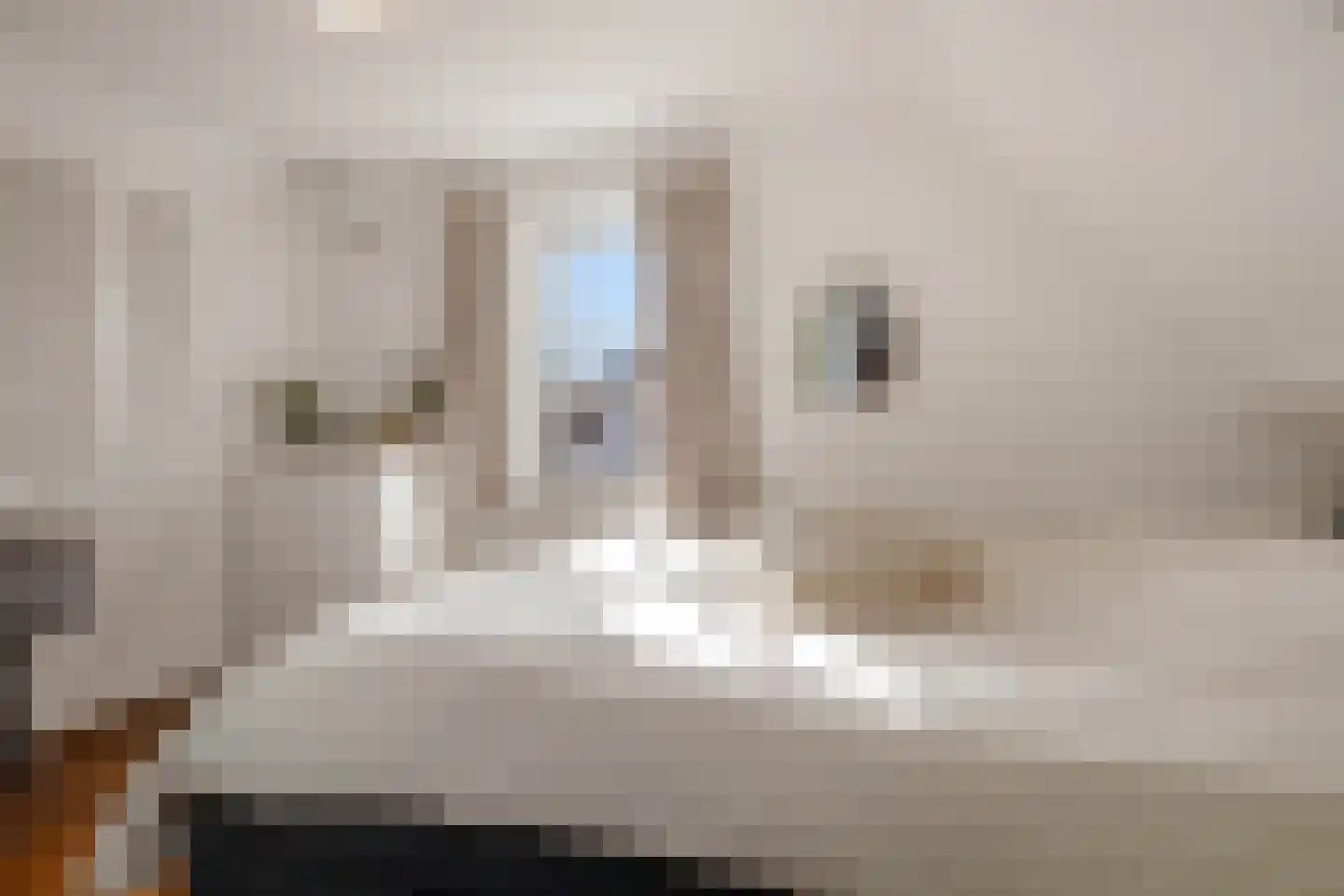 Langestraat 7 Huizen thumbnail 24