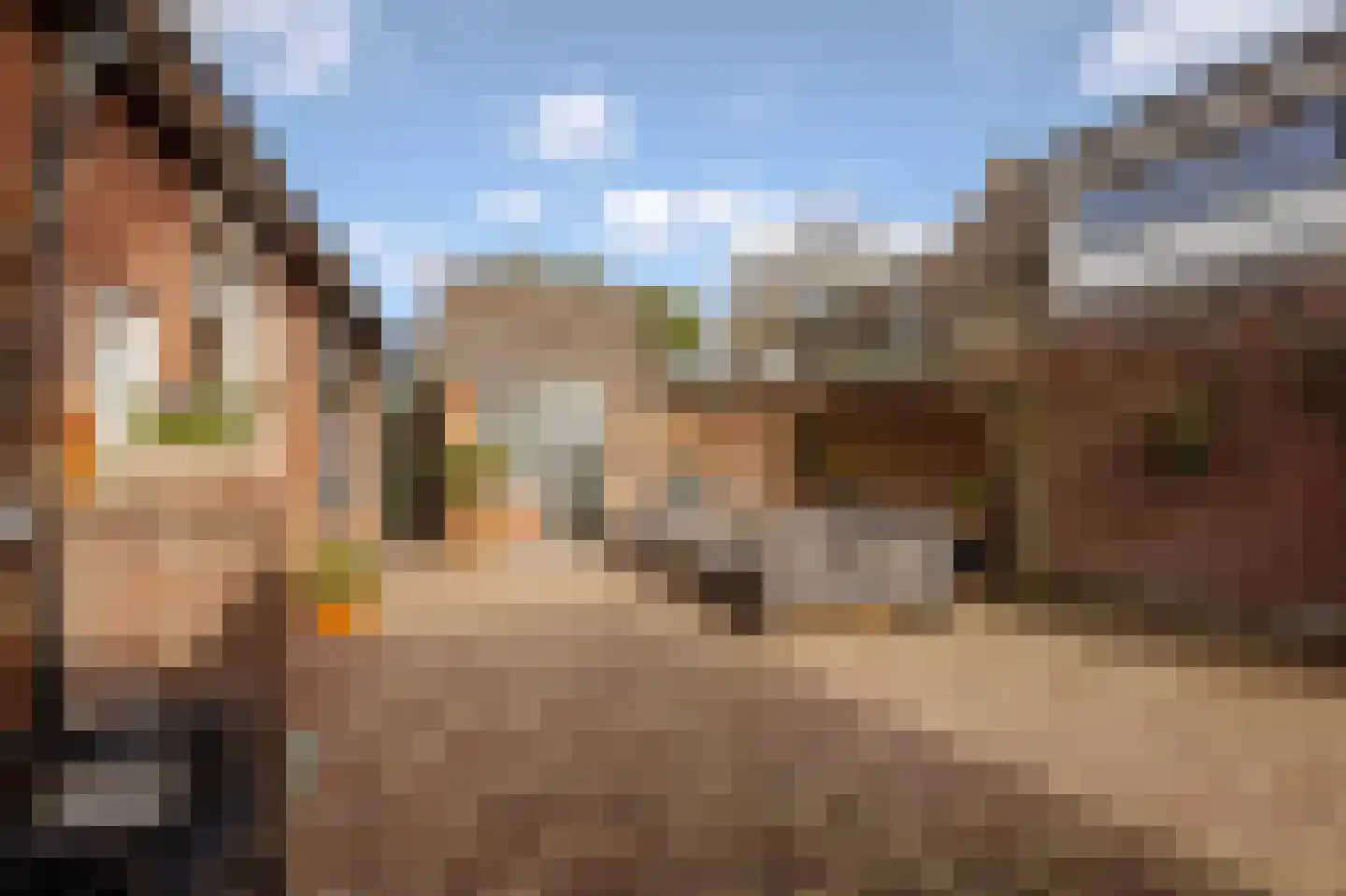 Langestraat 7 Huizen thumbnail 36