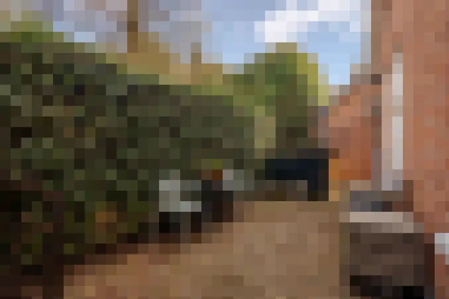 Langestraat 7 Huizen thumbnail 39