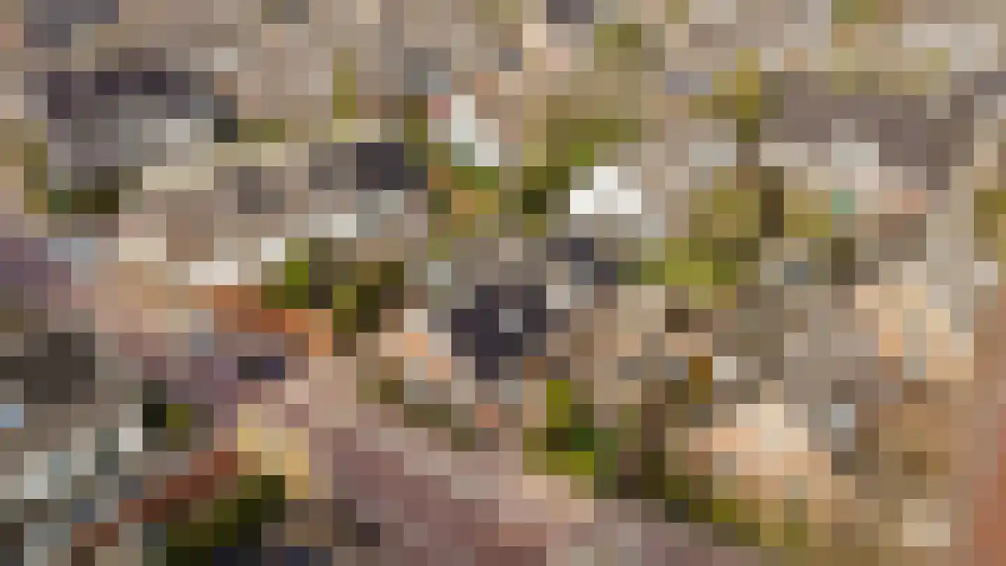 Langestraat 7 Huizen thumbnail 43