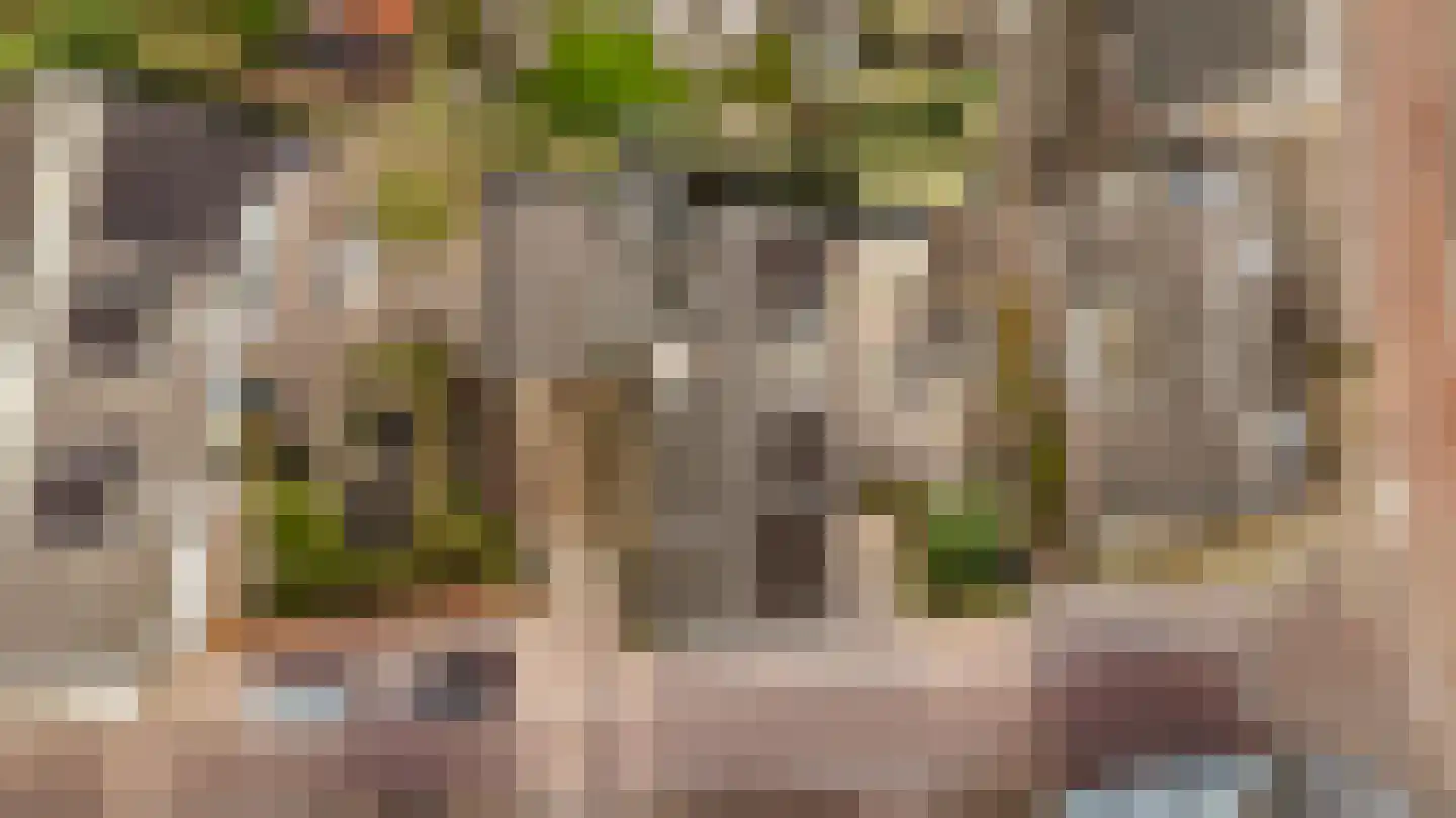 Langestraat 7 Huizen thumbnail 44